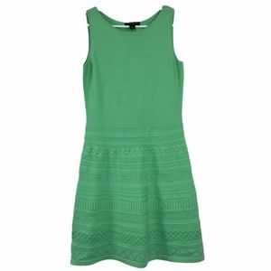 Lauren Ralph Lauren mint green knit dress. M